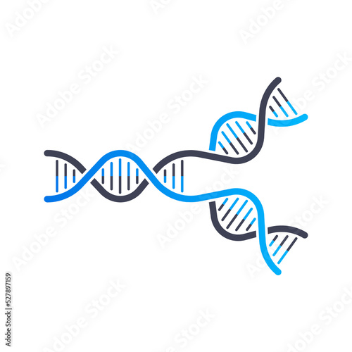 DNA replication. DNA molecules, molecular biology. Vector stock illustration. photo