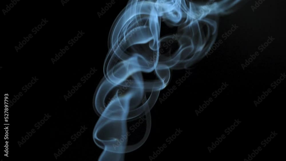Abstract smoke rises up in beautiful swirls on a black background. Slow motion