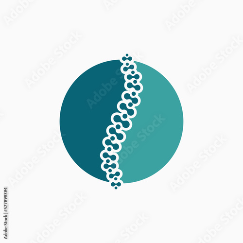 Spine logo design, Medical Chiropractic Logo In White Isolated Background, Chiropractic Logo Template Design Vector, Emblem, Design Concept, Creative Symbol, Icon