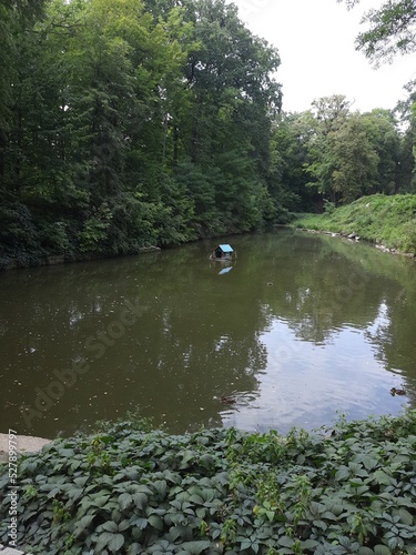 Obraz na płótnie river in the forest w salonie