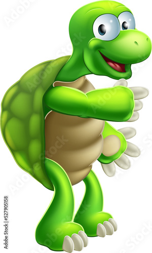 Cartoon Tortoise or Turtle ...