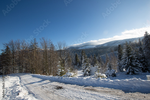 Fototapeta Naklejka Na Ścianę i Meble -  Zimowy Krajobraz