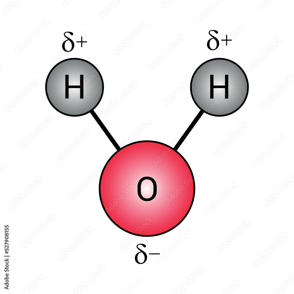 Polar Covalent Bond H2o