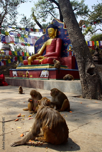 Swayambhu/ Kathmandu (Nepal) - also knows as monkey temple
