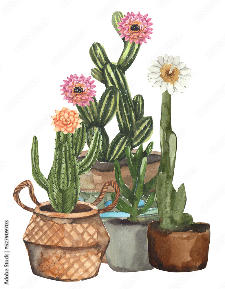 watercolor cactus in flowerpot