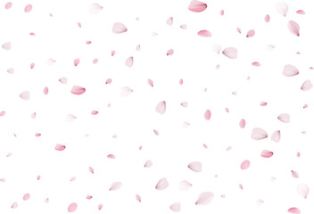 Flying sakura petals.
