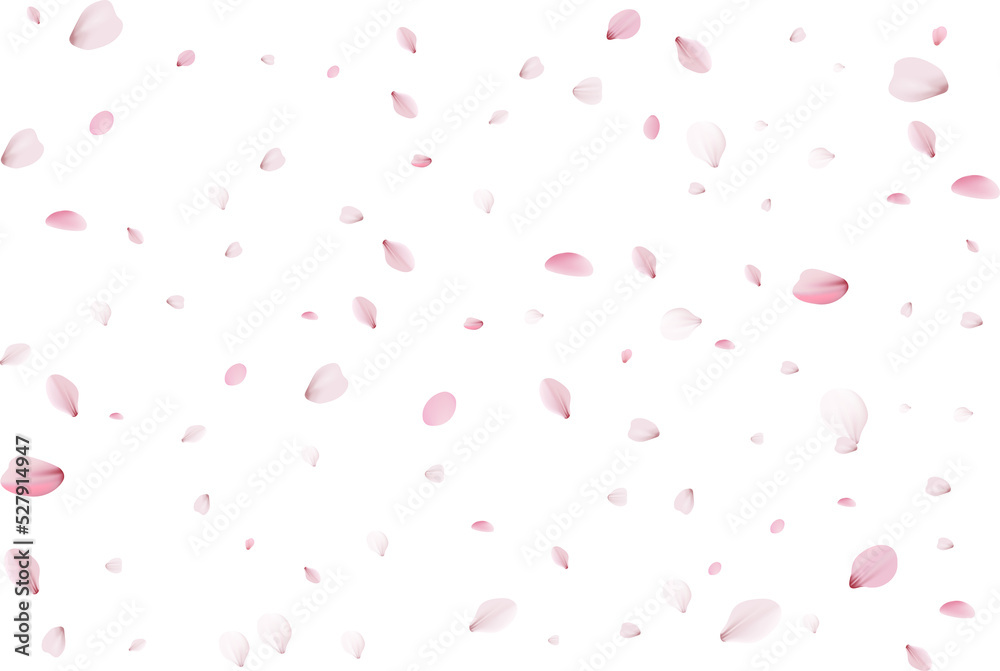 Flying cherry petals.