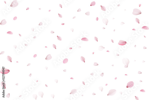 Fotografia Flying cherry petals.