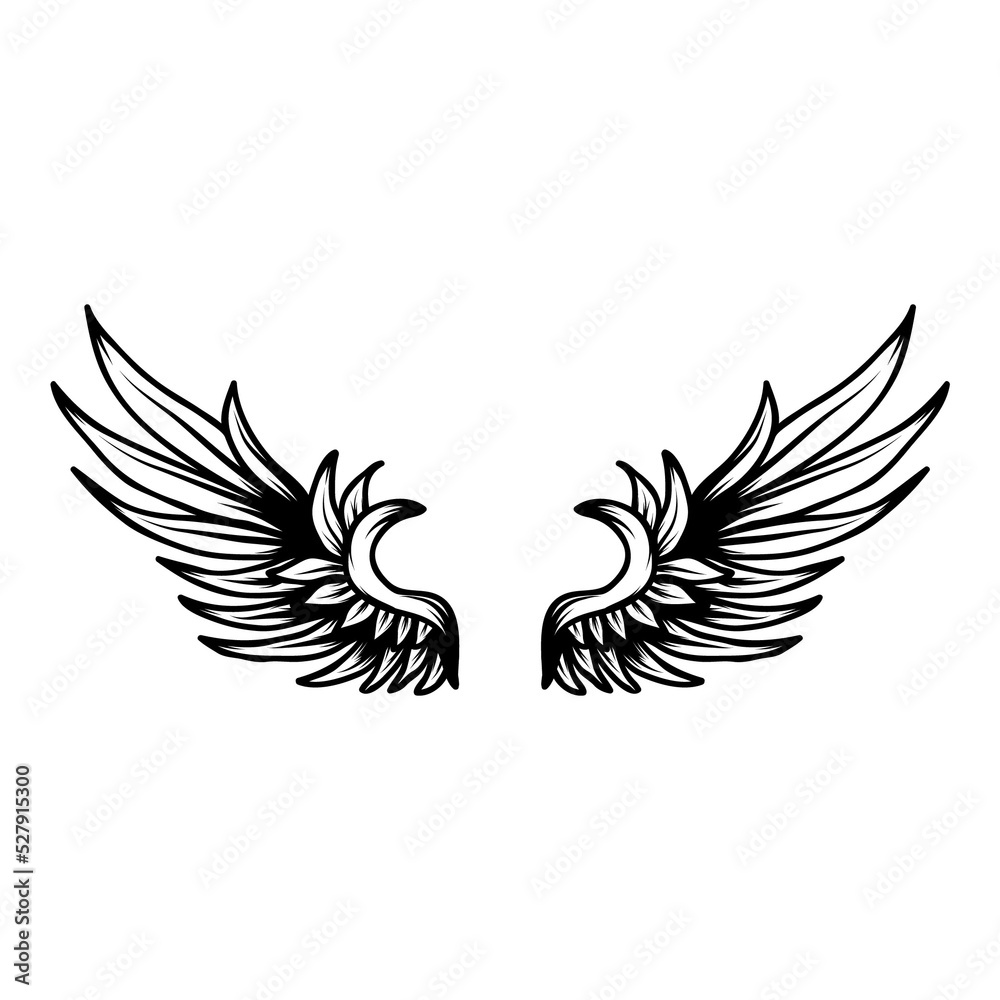 Wing isolated on white. PNG.