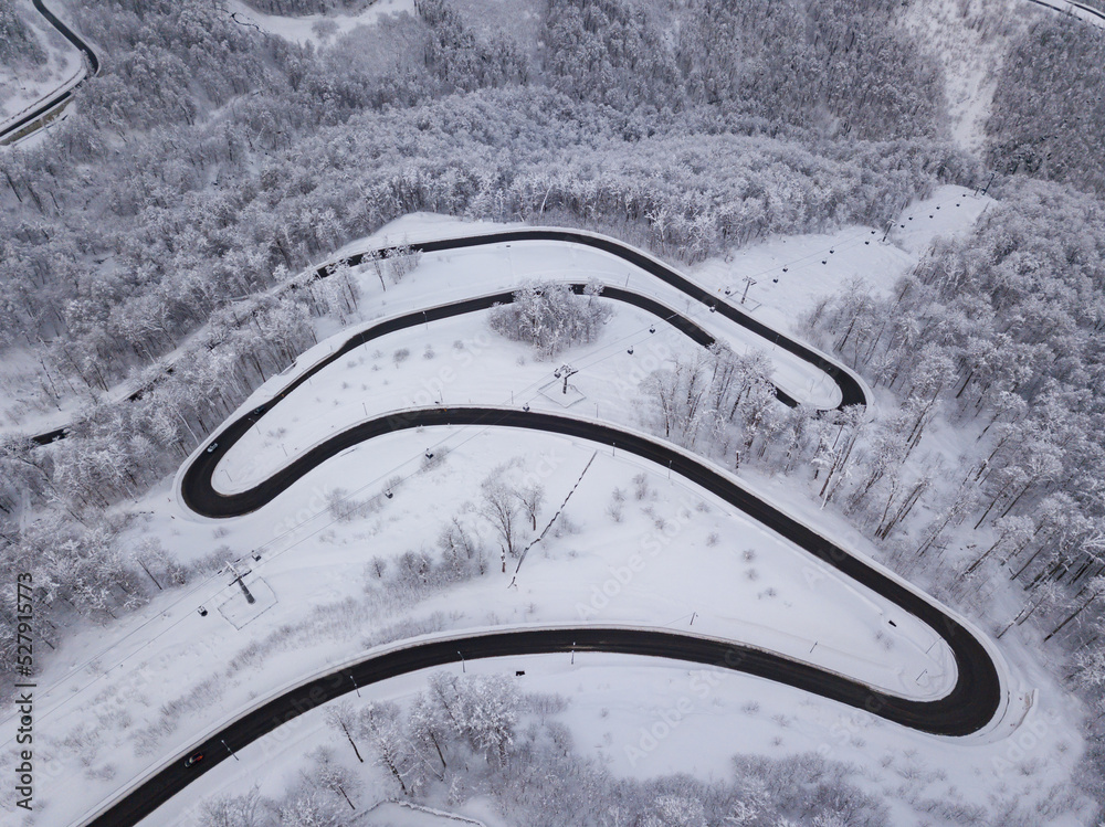 Aerial top view of the winter road to Olympic mountain village Roza Plato with snowy trees. Beautiful winter landscape from drone.