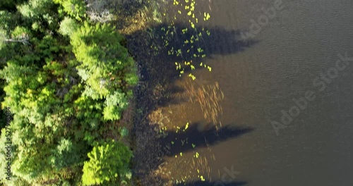 Drone flight along a lakeshore. Top-down view of a natural landscape