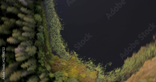 Bird's eye view of a lake in summer. Drone shot