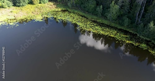 High angle view of a lake in summer
