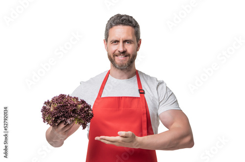 man in apron with lettuce vegetable isolated on white background