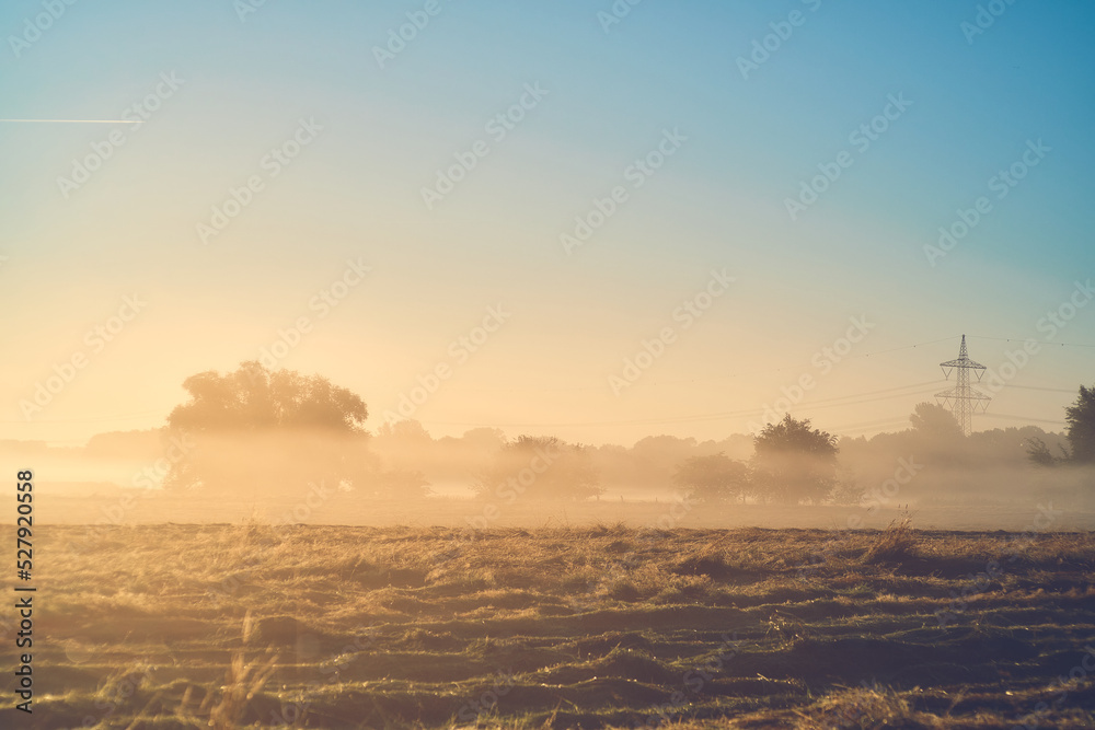 Misty Morning in the countryside of northern Germany. High quality photo