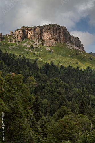 Mountains against the sky and forest