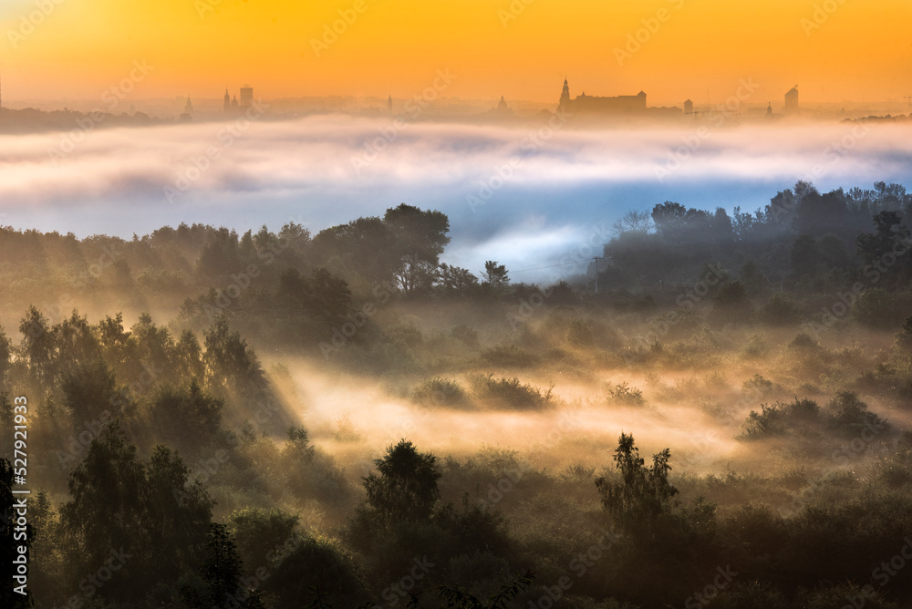 Widok z Fort Bodzów na Kraków, w mglisty jesienny poranek  - obrazy, fototapety, plakaty 
