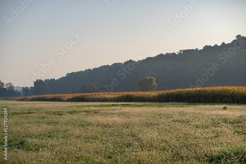 Dewy farm fields at the base of a wooded hill in Amish country, Ohio in the morning