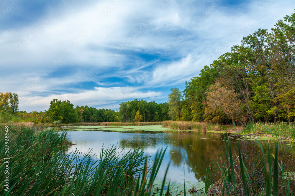 iew of the lake in the forest and reeds in autumn and clody sky at background. Lights and colors of autumn on the lake. View of the reflection of colorful leaves and tree branches in the water