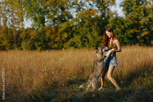 A woman plays and dances with a husky breed dog in nature in autumn on a field of grass and smiles at a good evening in the setting sun