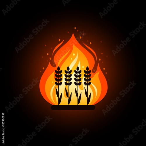 Agriculture field, farm land in fire. Concept of wildfire in countryside, burning plants on plantation. Vector cartoon icon of flame with silhouettes of wheat, rye on black background