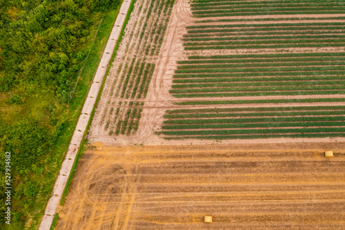 Aerial view of a piece of tree, a field with onions and a field after harvest with hay bales