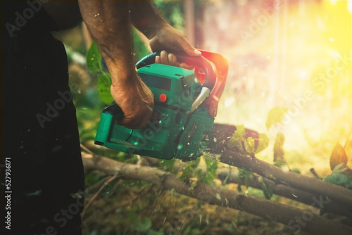 Chainsaw. Woodcutter saws tree with a chainsaw on sawmill photo