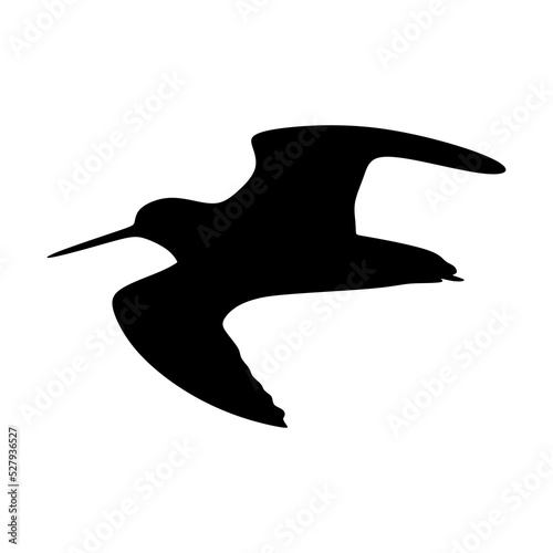 Silhouette snipe in black. Flying Snipe silhouette isolated on white background. Black bird Gallinago. Gallinago Vector illustration