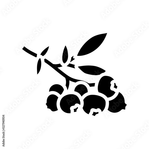 blueberry plant glyph icon vector. blueberry plant sign. isolated symbol illustration
