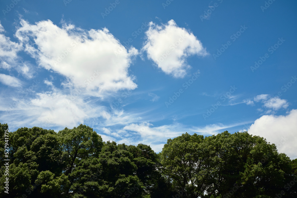 Minimalist Cloudy Sky with Green Trees