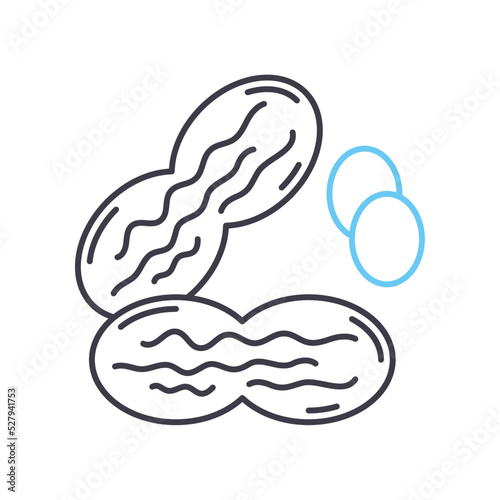 peanut line icon, outline symbol, vector illustration, concept sign