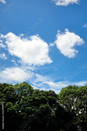 Minimalist Cloudy Sky with Green Trees © adibella6370
