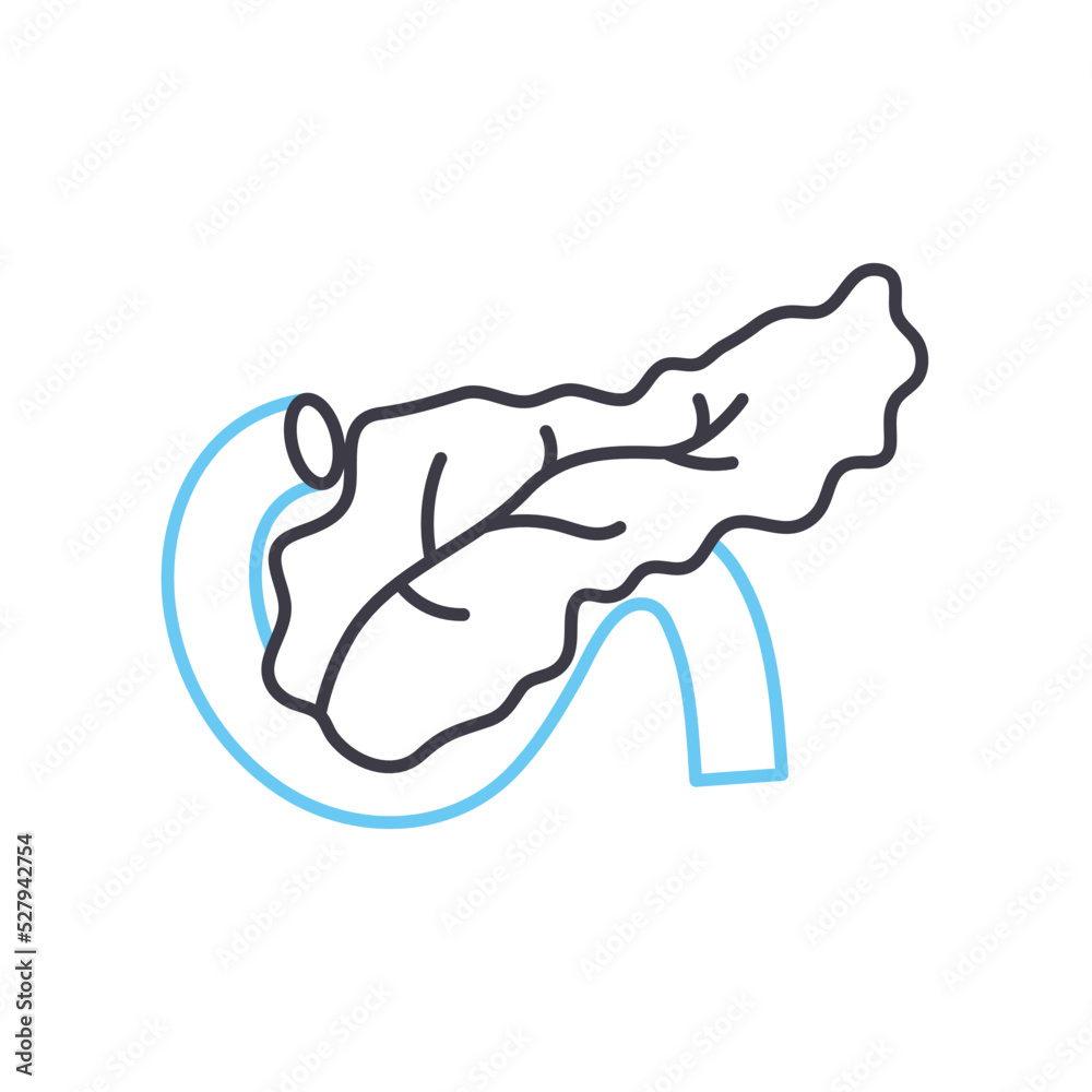 pancreas line icon, outline symbol, vector illustration, concept sign pancreas line icon, outline symbol, vector illustration, concept sign