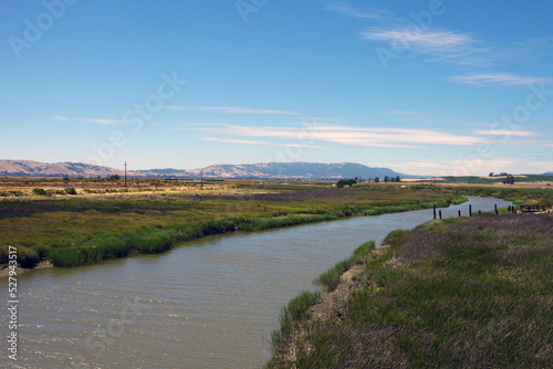 California river landscape between Napa and the San Pablo bay