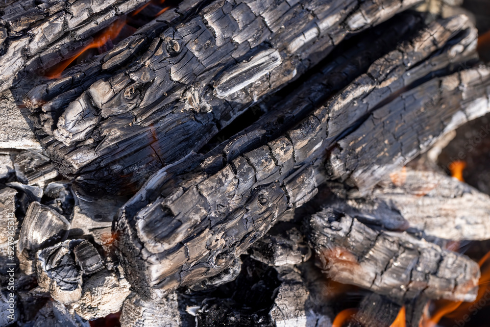 Burning logs in a campfire while cooking and warming Burning logs in a campfire while cooking and warming
