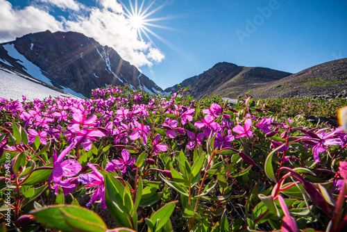 Stunning summertime views in northern Canada during July. 