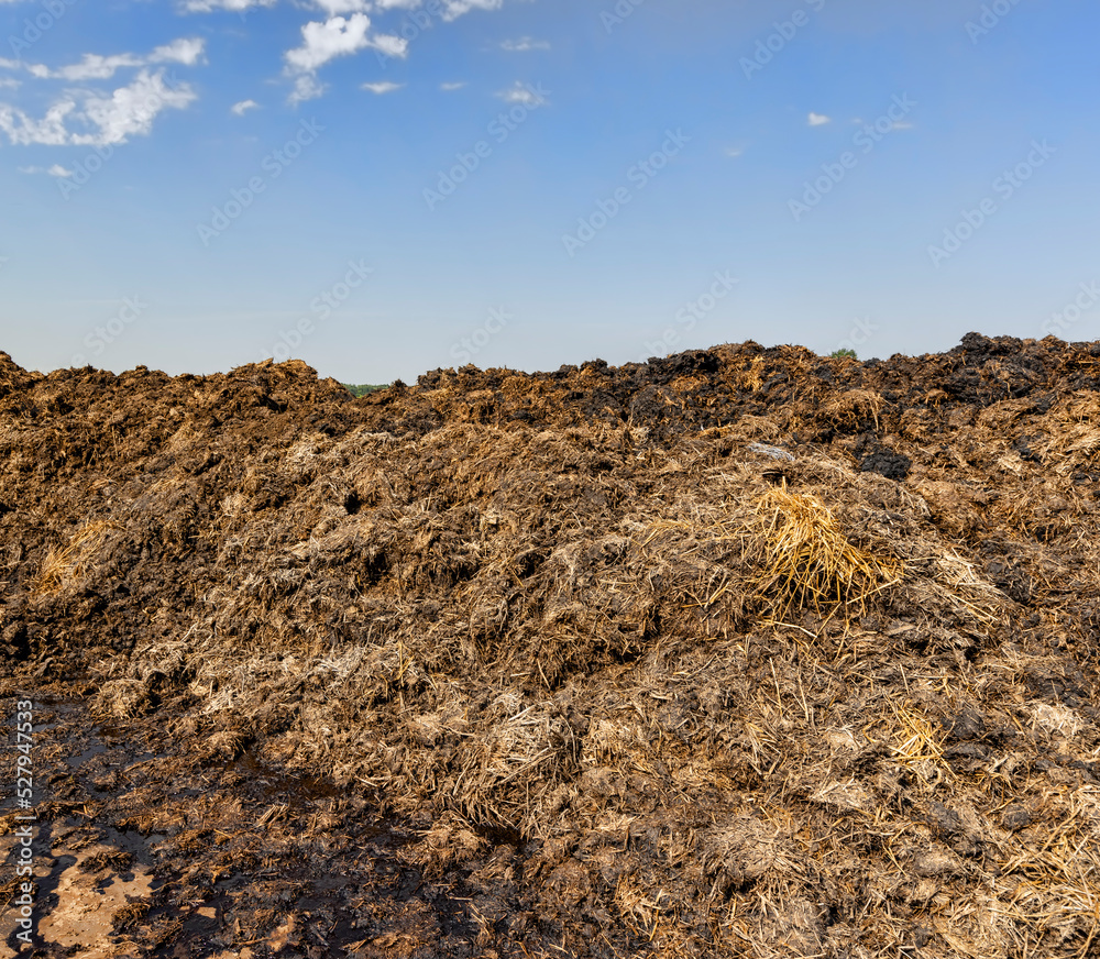 Obraz premium Manure for fertilizing the soil in the field