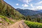 Man hiking on an isolated trail during summer time in Yukon Territory. 