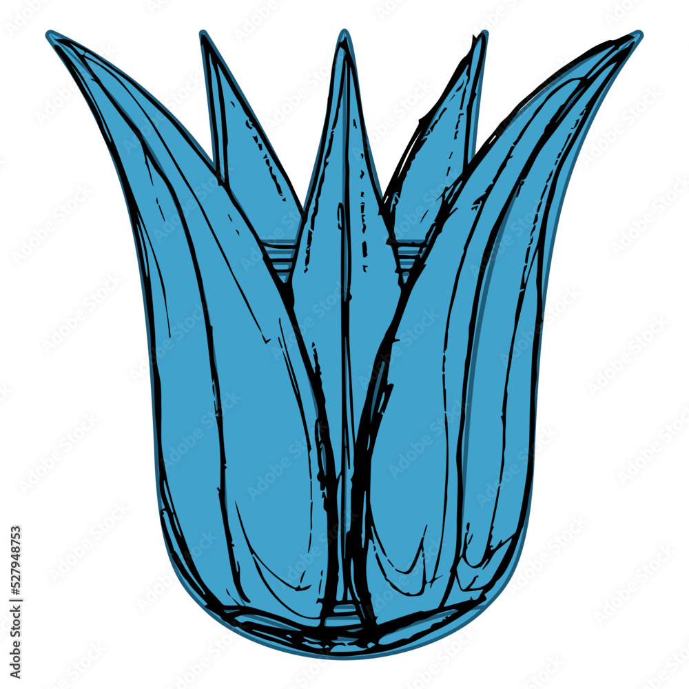 Stylized blue lotus flower. Ancient Egyptian floral design. Hand drawn