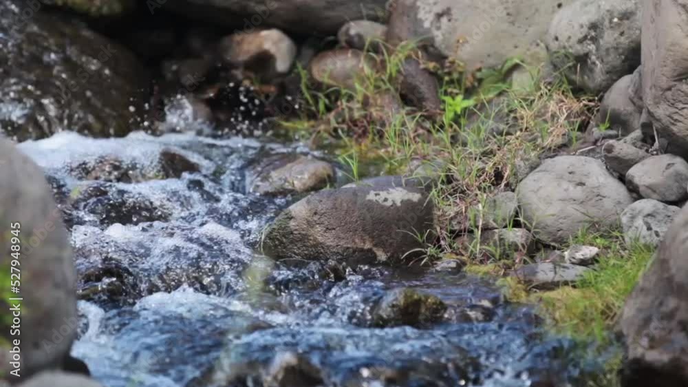 Stream of flowing water in Reunion Island, a French oversea territory in the Indian Ocean. Stream of flowing water in Reunion Island, a French oversea territory in the Indian Ocean.