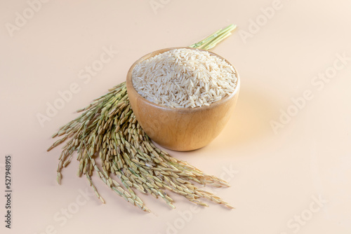 Jasmine Brown Rice In a wooden bowl and rice ears isolated on pink background.