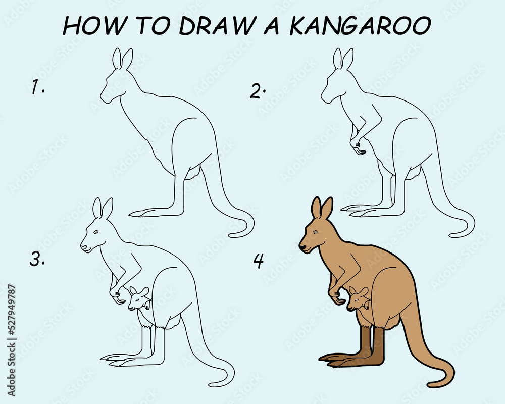 Step by step to draw a Kangaroo. Drawing tutorial a Kangaroo. Drawing