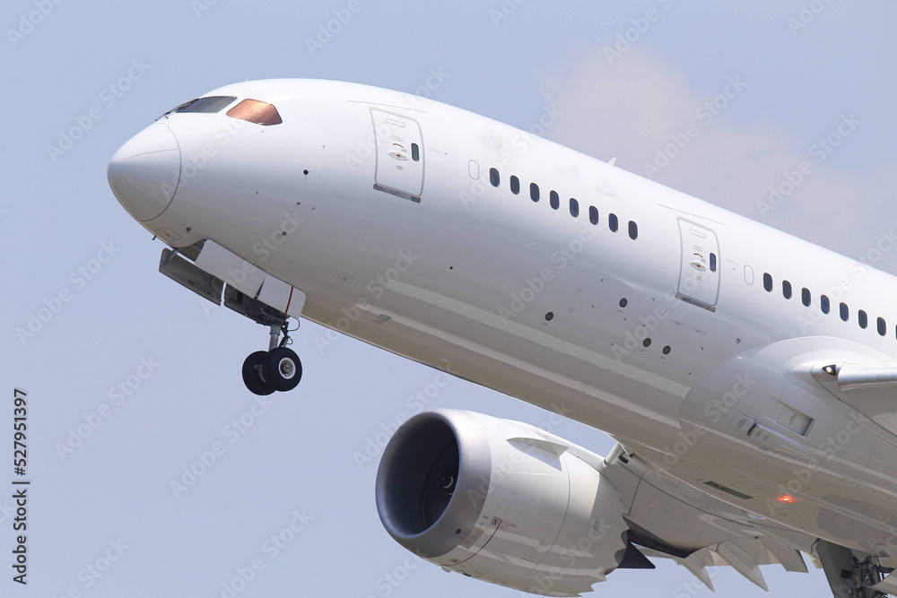 Obraz premium 離陸する飛行機