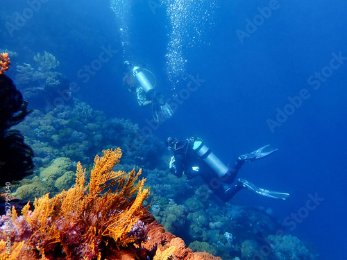 Indonesia Sumbawa - Scuba Diving