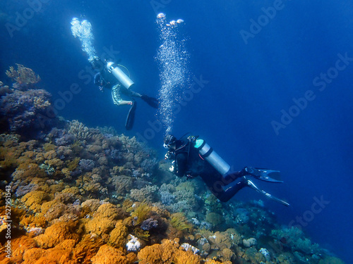 Indonesia Sumbawa - Scuba Diving
