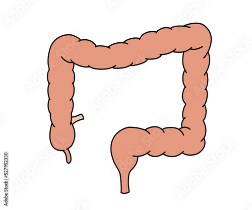 大腸 photo