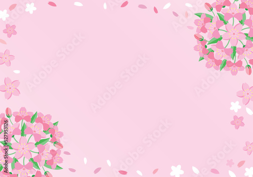 桜の花の背景素材 © Mono