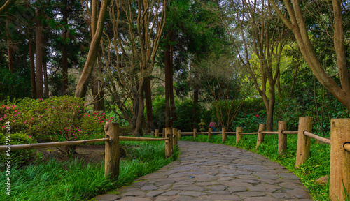 Japanese Tea Garden San Francisco, California, EUA