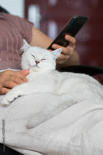 woman with a rested cat