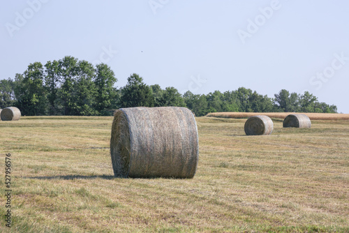 Hay bales in Farm Field